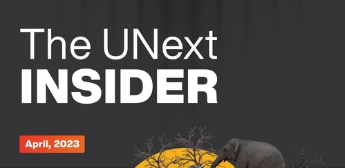 Newsletter Image